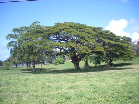 Seminar on Virgin Islands 2008